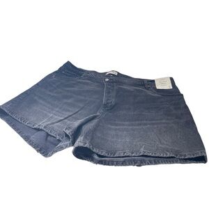 Abercrombie & Fitch Curve Love The Dad Short Size 22 NWT